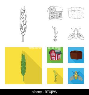 ,Printemps,grenier,pain,tige,voler,spike,root,bâtiment,insectes,dur,industrie,brun,lutte,farine,automne,alimentaire,sols,commande,graines,sain,stop,son,glucides croître,céréales,ailes,remise,pain,agriculture,vélo,agriculture,plantes,seigle blé,maïs,grain,récolte,ferme,,champ,set,icône,,illustration,collection,isolé,design,graphisme,élément vecteur vecteurs,signer , Illustration de Vecteur