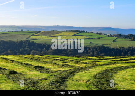 Le foin dans les champs agricoles au-dessus Hardcastle Crags, Hebden Bridge, West Yorkshire, Calderdale Banque D'Images