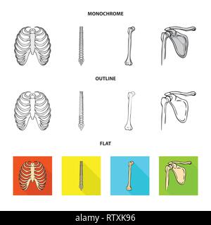 Nervure, colonne vertébrale,fémur,,cage brisée,chiropratique,bassin,xray,ossature,péroné,hip,body,moelle,shin,,pelvien,ostéoporose,sternum tibia fracture,posture,jambe,sternum,chirurgie,calcium,douleur,sain,dommage,bois flotté,santé,médecine,mouvement,clinique,biologie,médical,os,,squelette anatomie,des,organes,,set,icône,,illustration,collection,isolé,design,graphisme,élément vecteur vecteurs,signer , Illustration de Vecteur