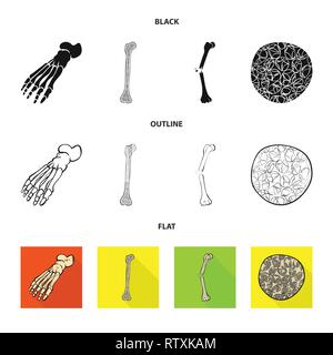 Fracture du fémur,pieds,de,l'ostéoporose,cheville,la douleur,cell,osseux sain,jambe,biais,tissu,,la podologie,dommage,Genou,avant-pied,conjonctif,tibia,DE,panneaux,cartilage péroné,structure,l'appareil locomoteur, les pieds plats,linstallation,mouvement,fibre optique,joints,système,scientifique,médecine,musculaire,biologie,clinique,medical,,os,squelette humain,anatomie organes,,set,icône,,illustration,collection,isolé,design,graphisme,élément vecteur vecteurs,signer , Illustration de Vecteur