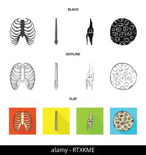 Nervure, colonne vertébrale,fémur,,fibre,cage,chiropratique,osseuses,sain,rx,base,jambe,scientifique,le corps,la colonne vertébrale,Genou,musculaires ostéoporose,tibia,,épithélium sternum,posture,péroné,épiderme,sternum,joints,tendon,mouvement,calcium cellule,chirurgie,dommage,la médecine,clinique,biologie,médical,os,,squelette anatomie,des,organes,,set,icône,,illustration,collection,isolé,design,graphisme,élément vecteur vecteurs,signer , Illustration de Vecteur