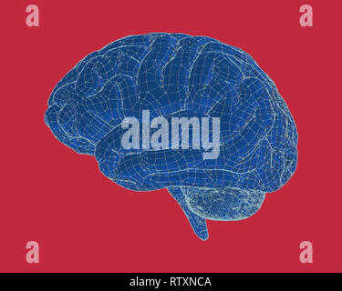 Vue latérale du cerveau bleu et wireframe avec style dessin illustration sur fond rouge Banque D'Images