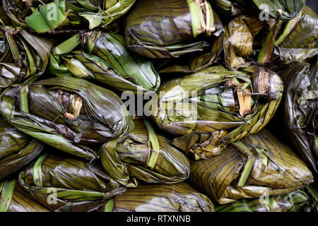 Feuilles de banane colombienne fraîches et récoltées, utilisées pour la cuisine des tamales colombiens traditionnels en Colombie, en Amérique du Sud Banque D'Images
