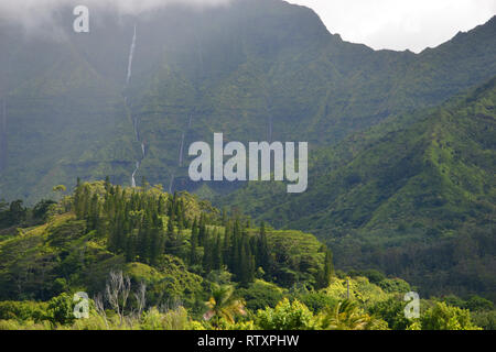 Vu de la cascade de la vallée d'Hanalei, Kauai, Hawaii, USA Banque D'Images