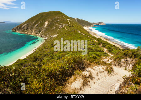 Bald Head track on Flinders Péninsule. Torndirrup National Park, en Australie occidentale. Banque D'Images