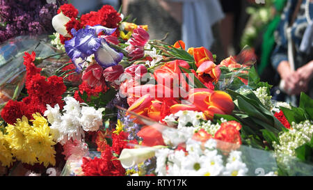 Des fleurs le jour de la victoire de près. Pile de tulipes, des chrysanthèmes et des oeillets sur un monument en l'honneur d'une fête de la victoire le 9 mai. La tradition patriotique conc Banque D'Images