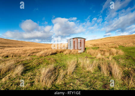 Un vieux shetler sur la lande à Tan Hill dans le Parc National des Yorkshire Dales et sur les bords de Cumbria et Durham County Banque D'Images