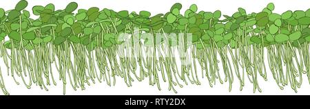 Modèle sans couture des jeunes pousses microgreen. Les jeunes pousses . Microgreen alimentation saine. La nourriture végétarienne. Germes crus, microgreens, la saine alimentation Illustration de Vecteur