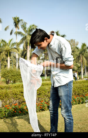 Jeune homme la collecte à l'aide d'un entomologiste Insectes Insectes net ou de la glisser pour sa collecte de spécimens d'insectes pendant un été lumineux Banque D'Images