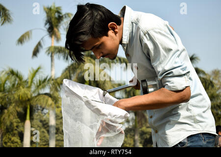 Jeune homme la collecte à l'aide d'un entomologiste Insectes Insectes net ou de la glisser pour sa collecte de spécimens d'insectes pendant un été lumineux Banque D'Images