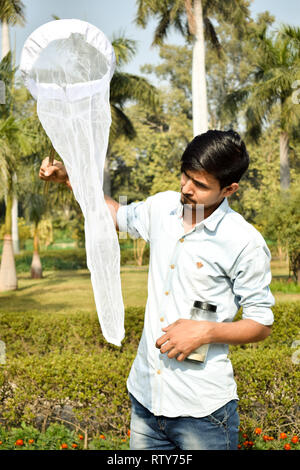 Jeune homme la collecte à l'aide d'un entomologiste Insectes Insectes net ou de la glisser pour sa collecte de spécimens d'insectes pendant un été lumineux Banque D'Images