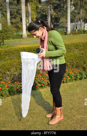 Jeune femme la collecte à l'aide d'un entomologiste Insectes Insectes net ou de la glisser pour sa collecte de spécimens d'insectes dans le jardin domaine des journée d'été. Banque D'Images