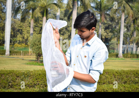 Jeune homme la collecte à l'aide d'un entomologiste Insectes Insectes net ou de la glisser pour sa collecte de spécimens d'insectes pendant un été lumineux Banque D'Images