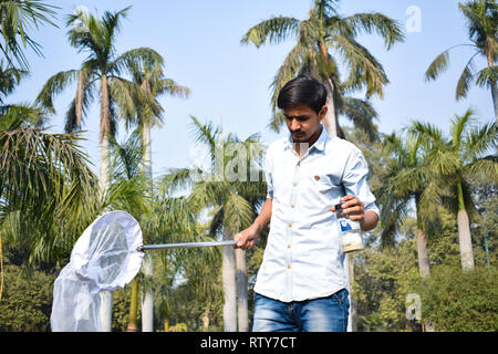 Jeune homme la collecte à l'aide d'un entomologiste Insectes Insectes net ou de la glisser pour sa collecte de spécimens d'insectes pendant un été lumineux Banque D'Images