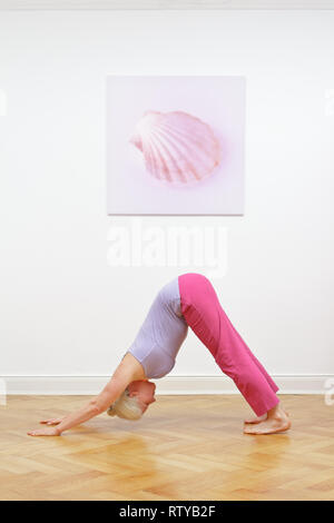 Senior woman doing yoga aux cheveux gris de l'exercice dans la maison en face d'un mur blanc avec photo, l'asana chien tête en bas Banque D'Images