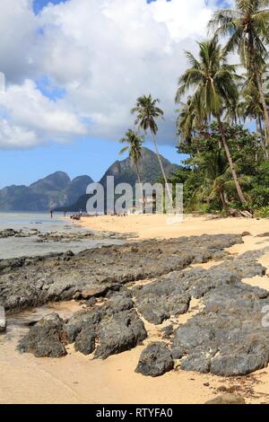 Les palmiers de Las Cabanas beach à El Nido, l'île de Palawan, Philippines. Banque D'Images