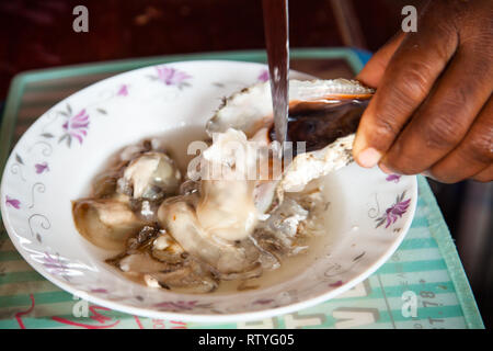 La préparation ceviche d'huîtres Banque D'Images