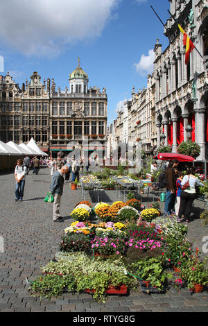 Bruxelles - 2 SEPTEMBRE : Marché aux Fleurs voir le 2 septembre 2009 à Grand Place, Bruxelles, Belgique. Bruxelles est célèbre pour ses festivals de fleurs un Banque D'Images