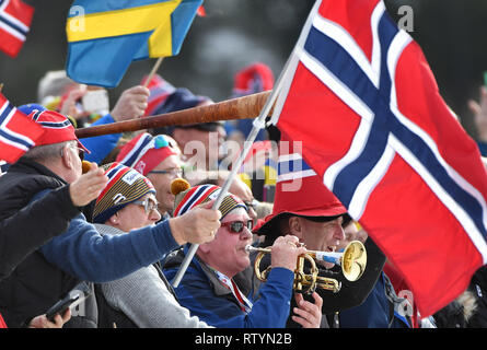 Seefeld, Autriche. 06Th Mar, 2019. Ski nordique : Championnat du monde, cross-country - 50 km départ groupé freestyle, les hommes. Fans de Norvège sont dans les stands. Credit : Hendrik Schmidt/dpa-Zentralbild/dpa/Alamy Live News Banque D'Images