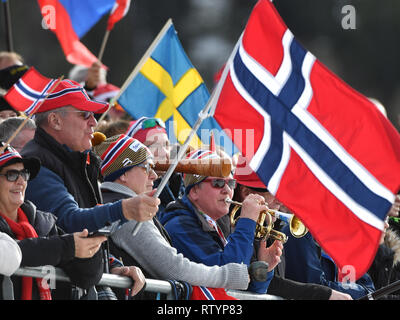 Seefeld, Autriche. 06Th Mar, 2019. Ski nordique : Championnat du monde, cross-country - 50 km départ groupé freestyle, les hommes. Fans de Norvège sont dans les stands. Credit : Hendrik Schmidt/dpa-Zentralbild/dpa/Alamy Live News Banque D'Images