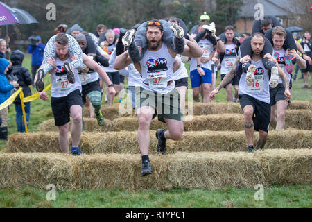 Dorking, UK, 3 mars 2019, maris, amis portent leurs êtres chers pour le sommet de la colline et sur les 380 mètres de course pour une médaille et un fût de bière pendant le UK Femme transportant des championnats qui ont lieu à Dorking, Surry , Royaume-Uni.© Jason Richardson / Alamy Live News. Banque D'Images