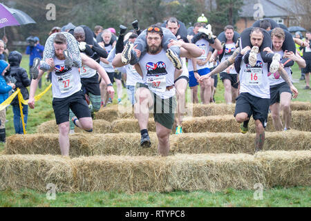 Dorking, UK, 3 mars 2019, maris, amis portent leurs êtres chers pour le sommet de la colline et sur les 380 mètres de course pour une médaille et un fût de bière pendant le UK Femme transportant des championnats qui ont lieu à Dorking, Surry , Royaume-Uni.© Jason Richardson / Alamy Live News. Banque D'Images