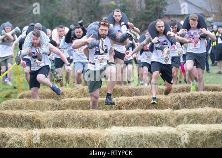 Dorking, UK, 3 mars 2019, maris, amis portent leurs êtres chers pour le sommet de la colline et sur les 380 mètres de course pour une médaille et un fût de bière pendant le UK Femme transportant des championnats qui ont lieu à Dorking, Surry , Royaume-Uni.© Jason Richardson / Alamy Live News. Banque D'Images