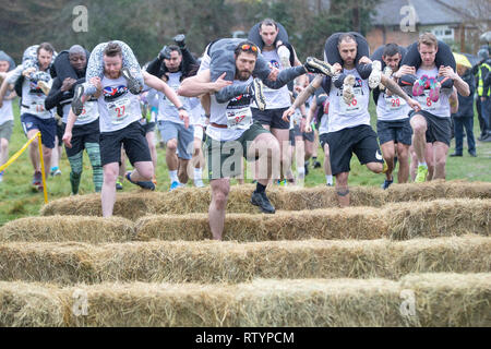 Dorking, UK, 3 mars 2019, maris, amis portent leurs êtres chers pour le sommet de la colline et sur les 380 mètres de course pour une médaille et un fût de bière pendant le UK Femme transportant des championnats qui ont lieu à Dorking, Surry , Royaume-Uni.© Jason Richardson / Alamy Live News. Banque D'Images