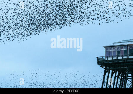 Blackpool, Lancashire, Royaume-Uni. Le 3 mars 2019. Murmuration Starling. Un murmuration d'Étourneaux effectuer leurs compétences de vol acrobatique avant qu'ils se perchent pour la nuit sous les mains de la jetée nord à Blackpool dans le Lancashire. Credit : Cernan Elias/Alamy Live News Banque D'Images