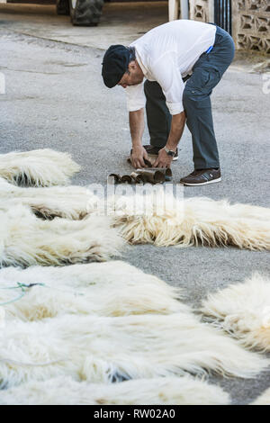 Fresnedo, Cantabria, Espagne. 2e Mar, 2019. Un homme prépare les cloches des vaches et moutons peaux utilisées par les participants à la vallée de Soba traditionnel carnaval, Espagne. Credit : Celestino Arce Lavin/ZUMA/Alamy Fil Live News Banque D'Images