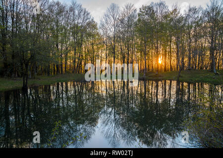 Coucher du soleil orange colorés par arbres se reflétant sur l'eau calme d'un petit étang. Le Parc des Nebrodi, près du lac Maulazzo et Biviere di Cesarò, Sicile. Banque D'Images