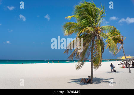 Tropical beach, Eagle Beach, Oranjestad, Aruba, District Îles ABC, Antilles, Caraïbes sous le vent Banque D'Images