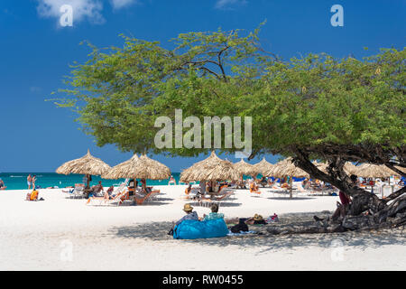 Vue sur la plage avec Divi Divi Tree, Eagle Beach, Oranjestad District, Aruba, ABC Islands, Leeward Antilles, Caraïbes Banque D'Images