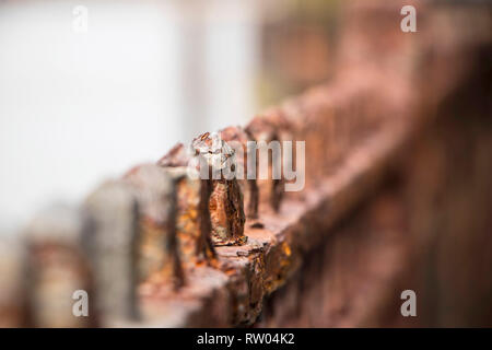 Close up detail of rusty en fer forgé Banque D'Images