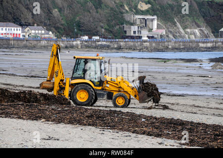 Un déménagement de la terre n tracteur sur le front de mer, déménagement d'algues dans Douglas dans l'île de Man, la Grande-Bretagne. L'île de Man avec sa capitale, Douglas J Banque D'Images