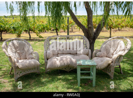 Invitant et fauteuils confortables sur un vignoble dans la région de Swan Valley, WA, Australie pour les visiteurs et les touristes la dégustation de plusieurs vins produits par l'entreprise. Banque D'Images