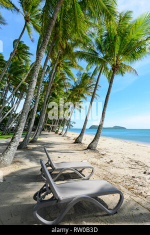 Transats sous les palmiers pliées le long de la plage, à Palm Cove, plages du nord de Cairns, Far North Queensland, Queensland, Australie, FNQ Banque D'Images