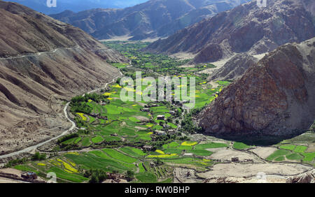 Champs verts dans une étroite vallée entre les montagnes, le long de la pente est la route vers le lac Pangong, Jammu-et-Cachemire, en Inde. Banque D'Images