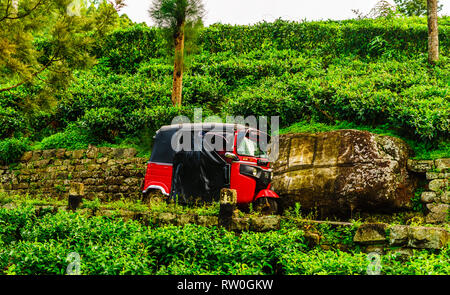 Vue sur Tuk Tuk rouge sur le chemin de la plantation de thé à Haputale, Sri Lanka Banque D'Images