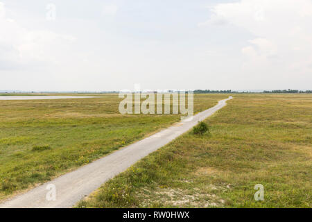 Le parc national de Neusiedler See, Lange Lacke, Seewinkel, Burgenland, Autriche Banque D'Images