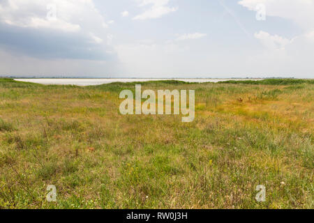 Le parc national de Neusiedler See, Lange Lacke, Seewinkel, Burgenland, Autriche Banque D'Images