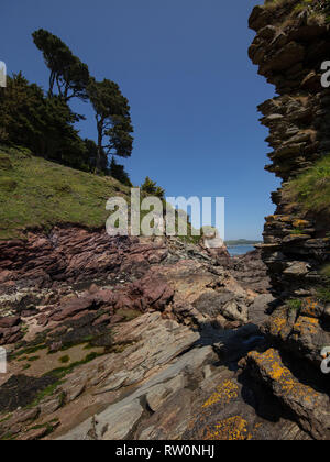 Salcombe Château Fort Charles est une fortification en ruine juste à côté de la plage des Sables bitumineux du nord à Salcombe, Devon, Angleterre. Banque D'Images