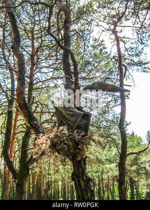 Un ptérosaure dans la forêt se trouve sur un nid. Banque D'Images