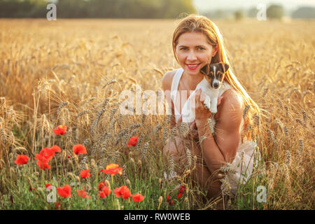 Young woman holding Jack Russell Terrier puppy sur ses mains, coucher de soleil allumé champ de blé en arrière-plan, quelques fleurs de pavot rouge à l'avant. Banque D'Images