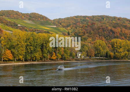 Rhein bei St Goarshausen, Rheinland-Pfalz, Banque D'Images