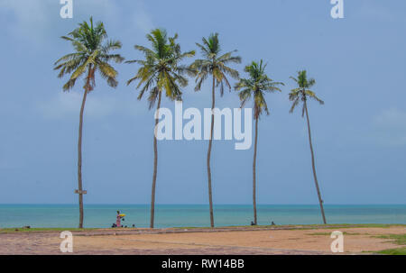 Un magnifique paysage de la côte du Ghana, l'Afrique de l'Ouest représentant une ligne esthétique de palmiers sur le fond de l'océan Atlantique. Banque D'Images