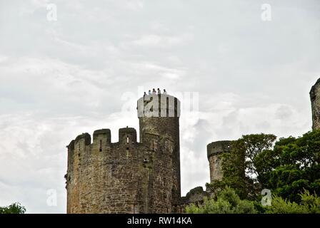 Vue extérieure des murs et des tours, le Château de Conwy, Conwy, au nord du Pays de Galles, Royaume-Uni Banque D'Images