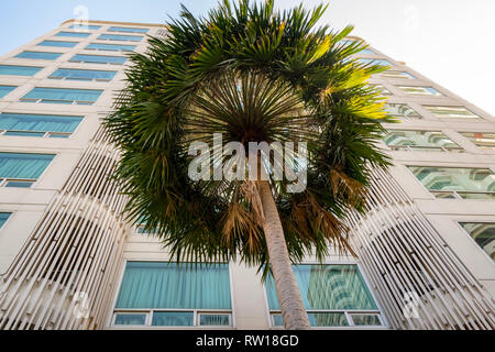 Bâtiment de l'hôtel avec un palmier du jardin de l'hôtel, Bangkok, Thaïlande Banque D'Images