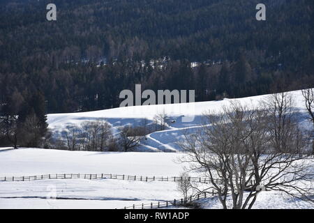 Kärnten, Villach, Stadt, Panorama, Skyline, Stadt, Dobratsch, Photo, Holzkreuz, Baum, Wald, hiver, Schnee, Wiese, Weide, verschneit, kahl, AST, Äs Banque D'Images