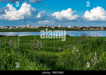 Larnaca (Larnaka) Salt Lake - voir des flamands roses et des nuages blancs. L'herbe verte et Mediterraneean des herbes. Lac bleu profond et bleu ciel Banque D'Images